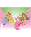 FLETORE A4 WINX, 42fletë, 80gr - TARGET