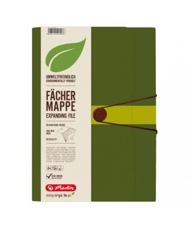 FASIKËLL ME 12 NDARJE EASY ORGA GJELBËR NEW HERLITZ