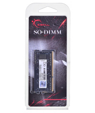 RAM memorje G.Skill 4GB DDR3 1066 MHz