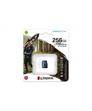 Kingston Technology 256GB microSDXC Canvas Go Plus 170R A2 U3 V30 Single Pack w/o ADP