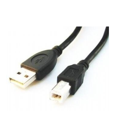 Kabllo USB 1.82m Gembird CCP-USB2-AMBM-6 - USB A USB B 