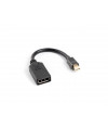 Adapter Lanberg AD-0003-BK DisplayPort cable 0.12 m Mini DisplayPort 