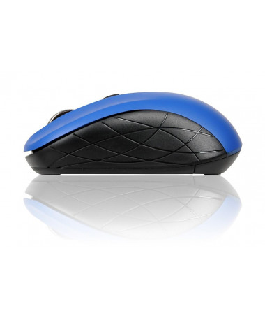 Maus iBOX i009W Rosella wireless optical e kaltër