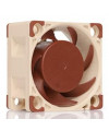 Ftohës Noctua NF-A4X20 5V PWM Computer case Ventilator 4 cm