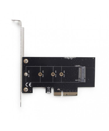 Gembird PEX-M2-01 interface cards/adapter e brendshme M.2/ PCIe