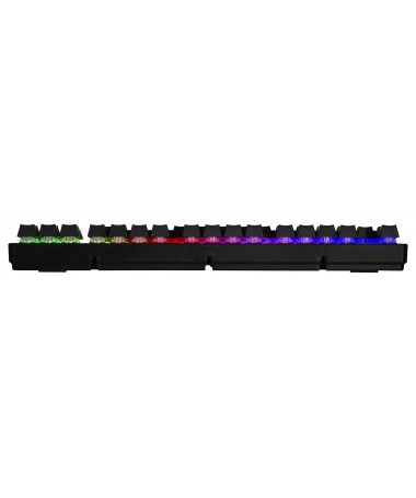 Tastaturë ENDORFY THOCK TKL KAILH BR RGB