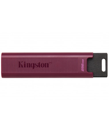 USB flash drive Kingston Technology DataTraveler 256GB Max Type-A 1000R/900W USB 3.2 Gen 2