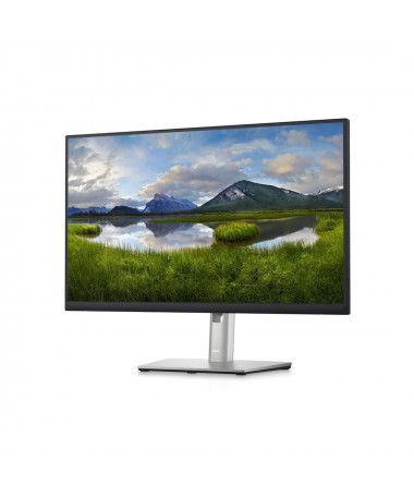 DELL P Series 24 USB-C Hub Monitor - P2423DE