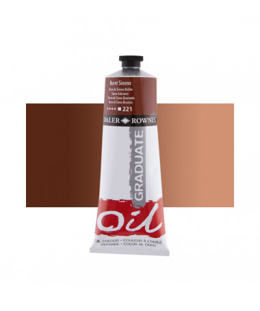 NGJYRA VAJI GRADUATE 200ML BURNT SIENNA 221 DALER ROWNEY