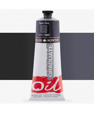 NGJYRA VAJI GRADUATE 200ML PAYNE'S GREY 065 DALER ROWNEY