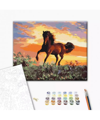 PAINT BY NUMBERS HORSE BRUSHME