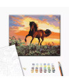 PAINT BY NUMBERS HORSE BRUSHME