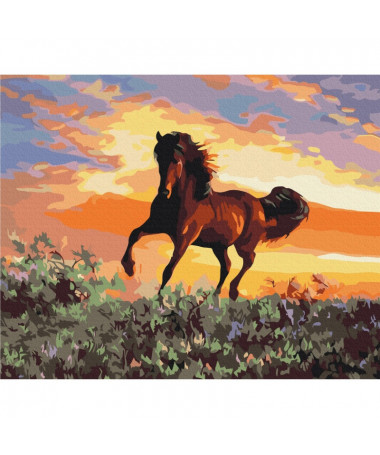 PAINT BY NUMBERS HORSE BRUSHME