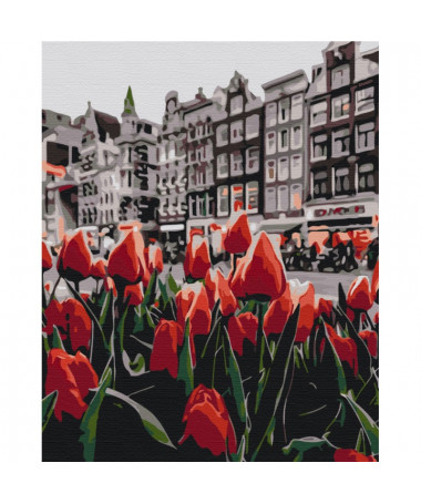 PAINT BY NUMBERS TULIPS AMSTERDAM BRUSHME