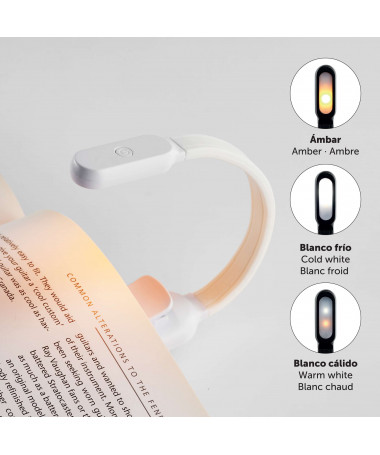 READING LIGHTS WHITE MIQUELRIUS