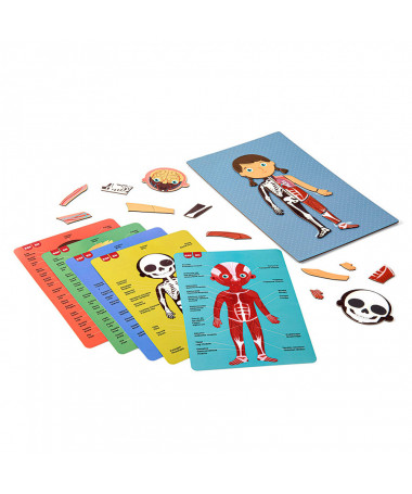 MAGNETS HUMAN BODY 1/63 APLI