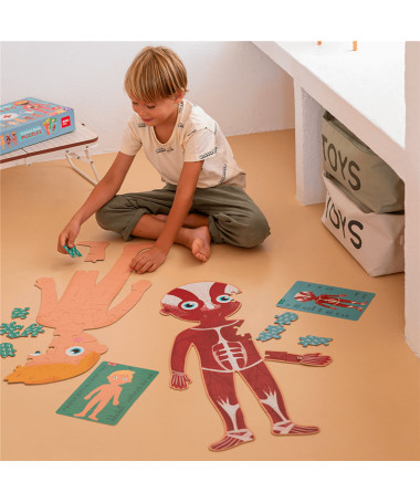 PUZZLE HUMAN BODY 1/240 APLI