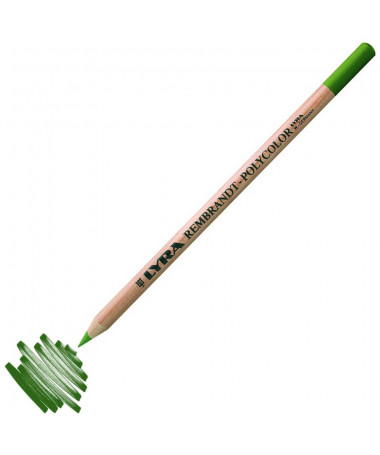 LAPS NGJYRË REMBRANDT POLYCOLOR OLIVE GREEN LYRA