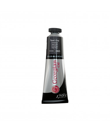 NGJYRA VAJI GEORGIAN 38ML PAYNE'S GREY 065 DALER ROWNEY