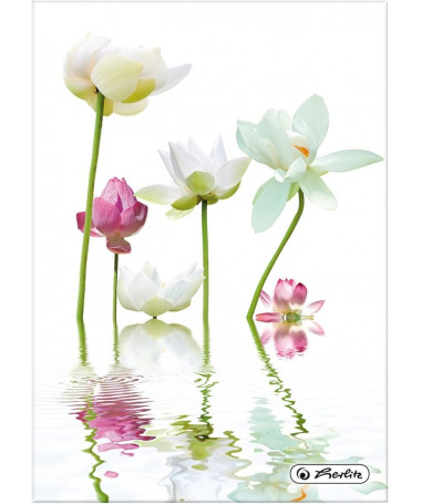 FLETORE IMITEX A5 96fl. / MIX HERLITZ