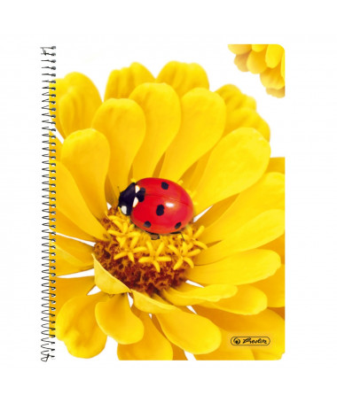 FLETORE A5 ME SPIRALE, 160fletë, 70gr - HERLITZ