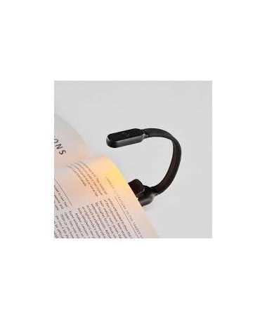 READING LIGHTS BLACK MIQUELRIUS