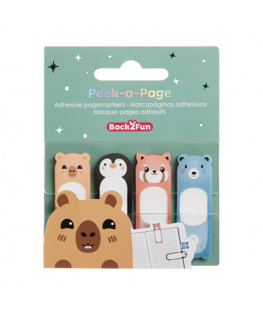 PAGE MARKER DREAM B2F MIQUELRIUS